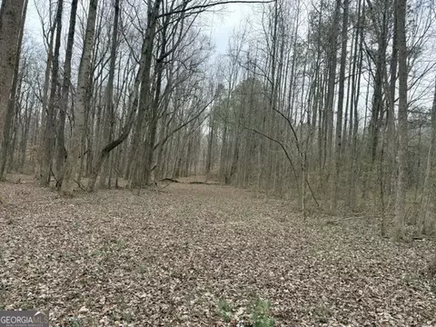 0 Tarpkins Rd, Commerce, GA 30530 photo 6