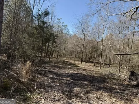 0 Tarpkins Rd, Commerce, GA 30530 photo 8