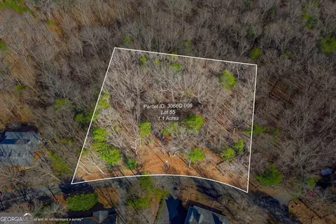 55 Spruce Dr #55, Ellijay, GA 30540