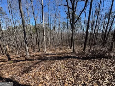 0 Brown Creek Rd, Shiloh, GA 31826