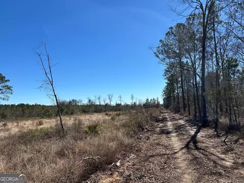 2840 Bay Branch Rd, Claxton, GA 30417 photo 8