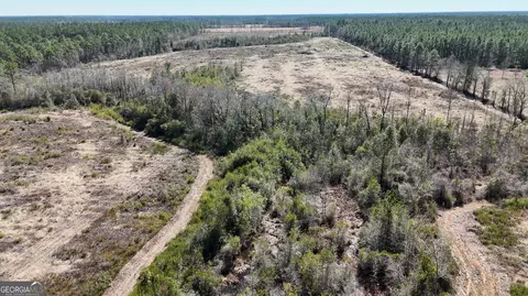 2840 Bay Branch Rd, Claxton, GA 30417 photo 10