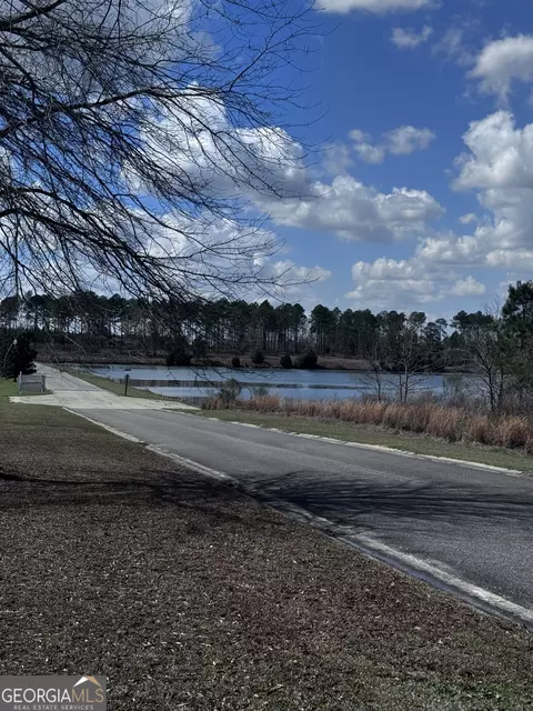 lot2 Thompsons Level Rd, Lyons, GA 30436 photo 5