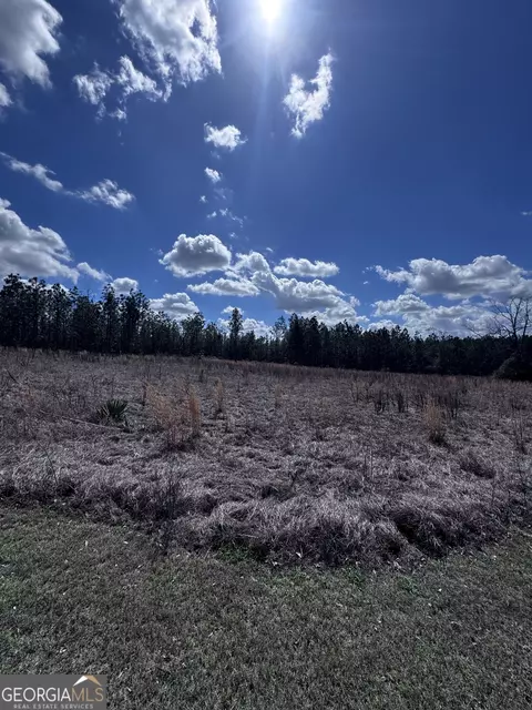lot2 Thompsons Level Rd, Lyons, GA 30436 photo 4