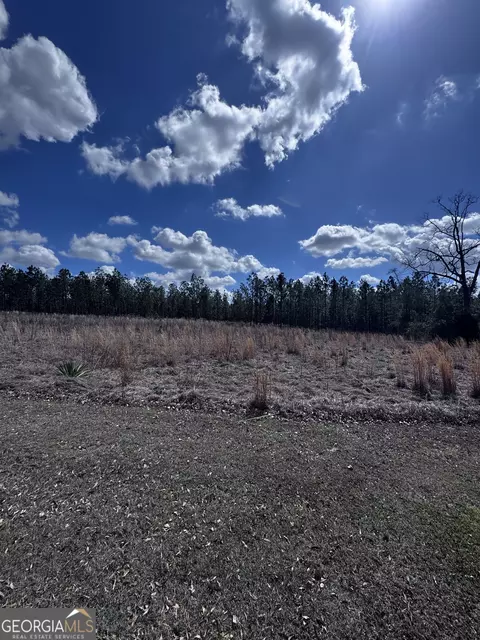 lot2 Thompsons Level Rd, Lyons, GA 30436 photo 6