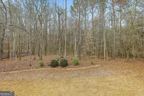 Exterior - 235 Ashmere Ct, Tyrone, GA 30290 photo 7 of 17