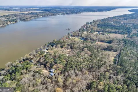 View/Area - 418 Flintside Dr, Cobb, GA 31735 photo 4 of 5