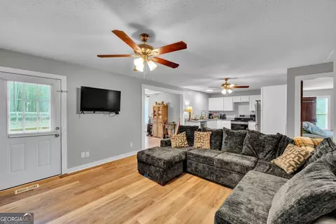 Other - 418 Flintside Dr, Cobb, GA 31735 photo 4 of 10