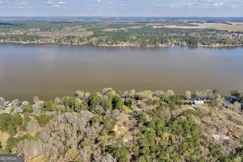 View/Area - 418 Flintside Dr, Cobb, GA 31735 photo 3 of 5