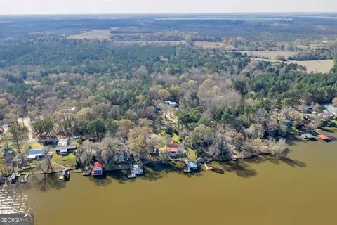 View/Area - 418 Flintside Dr, Cobb, GA 31735 photo 1 of 5