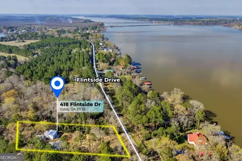 Other - 418 Flintside Dr, Cobb, GA 31735 photo 10 of 10