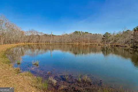 342 Norris Rd, Barnesville, GA 30204 photo 40
