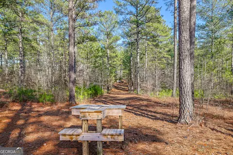 342 Norris Rd, Barnesville, GA 30204 photo 42