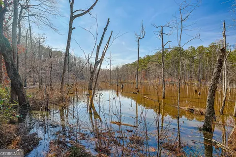 342 Norris Rd, Barnesville, GA 30204 photo 16