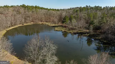 342 Norris Rd, Barnesville, GA 30204 photo 23