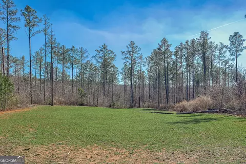 342 Norris Rd, Barnesville, GA 30204 photo 39