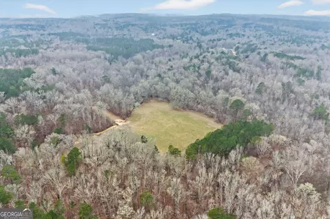 119 Hough Johnson Rd, Haddock, GA 31033 photo 8