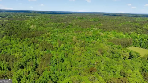 119 Hough Johnson Rd, Haddock, GA 31033 photo 14