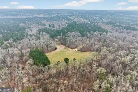 119 Hough Johnson Rd, Haddock, GA 31033 photo 3