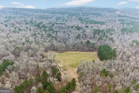119 Hough Johnson Rd, Haddock, GA 31033 photo 4
