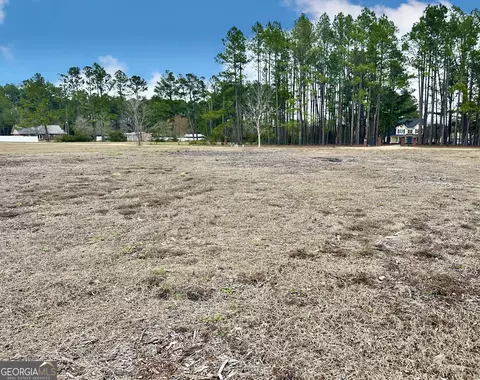 0 Southside Dr, Blackshear, GA 31516 photo 4