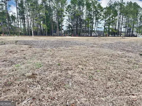 0 Southside Dr, Blackshear, GA 31516 photo 10