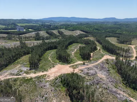 0 Bishop Loop Rd #7400/9555, Rydal, GA 30171 photo 21