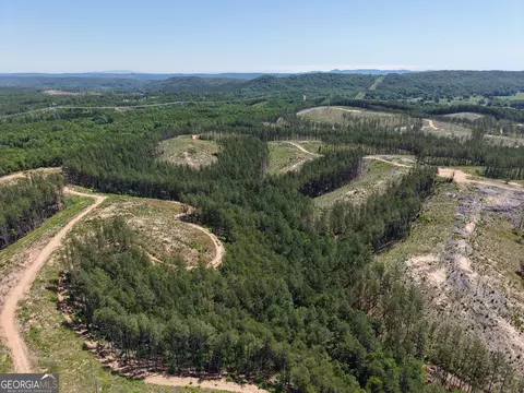 0 Bishop Loop Rd #7400/9555, Rydal, GA 30171 photo 19