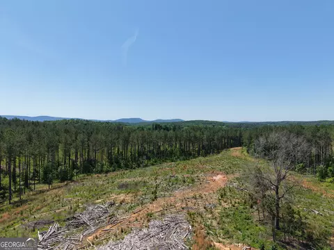 0 Bishop Loop Rd #7400/9555, Rydal, GA 30171 photo 4
