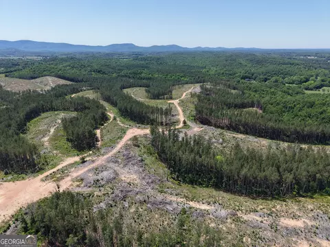 0 Bishop Loop Rd #7400/9555, Rydal, GA 30171 photo 22