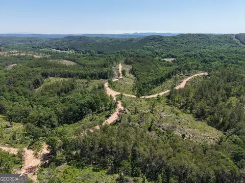 0 Bishop Loop Rd #7400/9555, Rydal, GA 30171 photo 28