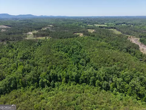 0 Bishop Loop Rd #7400/9555, Rydal, GA 30171 photo 37
