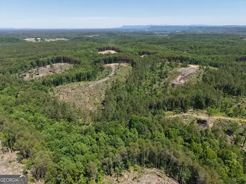 0 Bishop Loop Rd #7400/9555, Rydal, GA 30171 photo 33