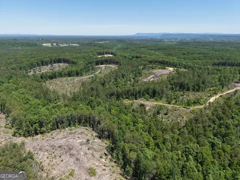 0 Bishop Loop Rd #7400/9555, Rydal, GA 30171 photo 26
