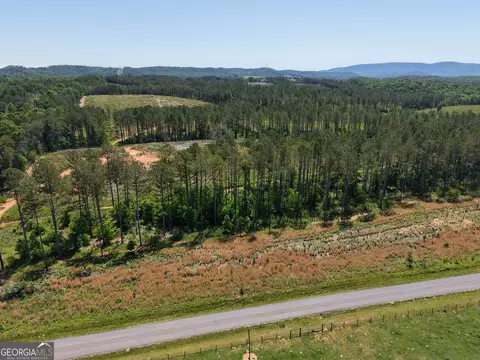 0 Bishop Loop Rd #7400/9555, Rydal, GA 30171 photo 8