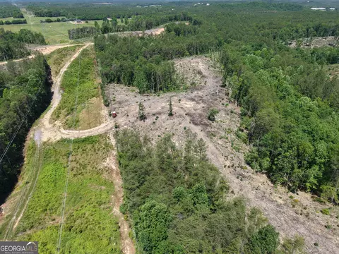 0 Bishop Loop Rd #7400/9555, Rydal, GA 30171 photo 31