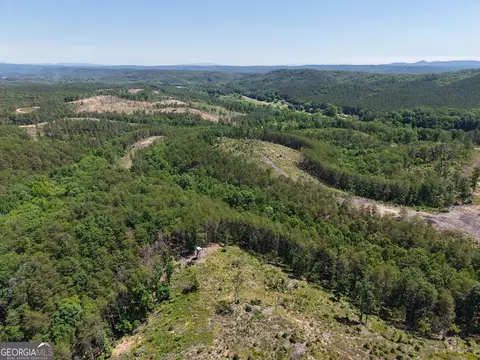 0 Bishop Loop Rd #7400/9555, Rydal, GA 30171 photo 29