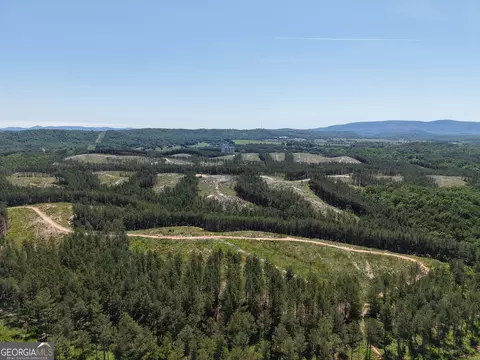 0 Bishop Loop Rd #7400/9555, Rydal, GA 30171 photo 12