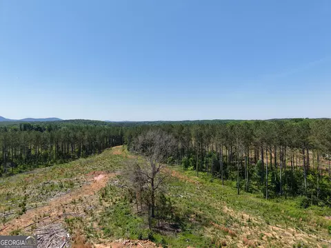 0 Bishop Loop Rd #7400/9555, Rydal, GA 30171 photo 5