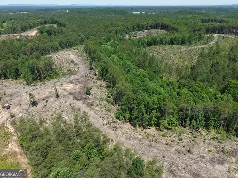 0 Bishop Loop Rd #7400/9555, Rydal, GA 30171 photo 32