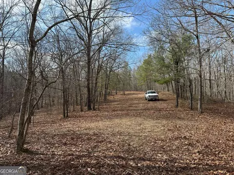 Other - 265 Evans Dr, Buchanan, GA 30113 photo 26 of 55
