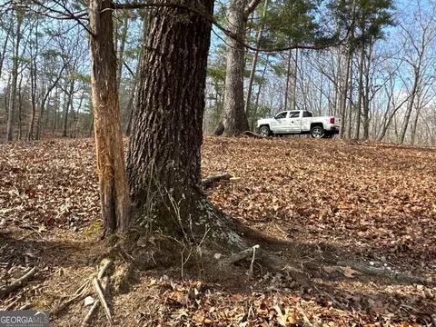 Other - 265 Evans Dr, Buchanan, GA 30113 photo 39 of 55