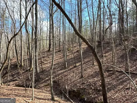 Other - 265 Evans Dr, Buchanan, GA 30113 photo 37 of 55