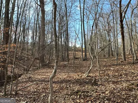 Other - 265 Evans Dr, Buchanan, GA 30113 photo 38 of 55