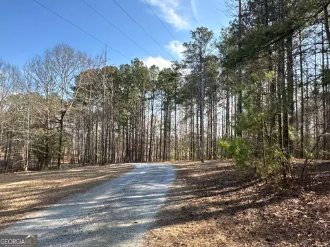 Other - 265 Evans Dr, Buchanan, GA 30113 photo 28 of 55