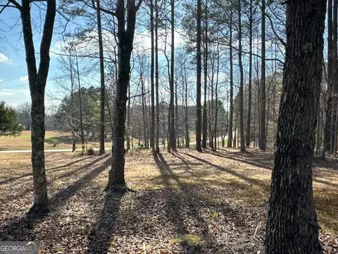Other - 265 Evans Dr, Buchanan, GA 30113 photo 30 of 55