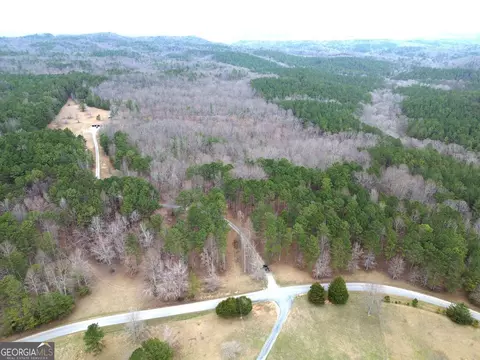 View/Area - 265 Evans Dr, Buchanan, GA 30113 photo 2 of 7