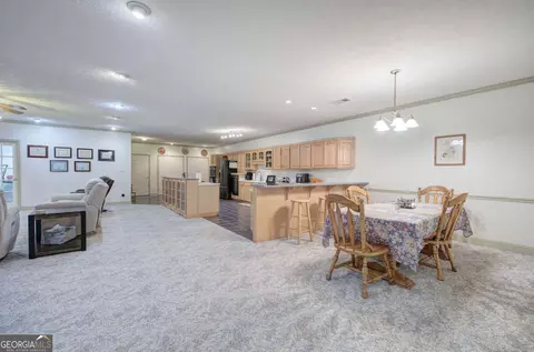 Other - 265 Evans Dr, Buchanan, GA 30113 photo 11 of 55