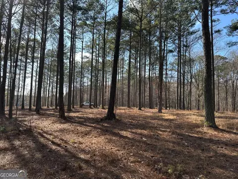 Other - 265 Evans Dr, Buchanan, GA 30113 photo 29 of 55
