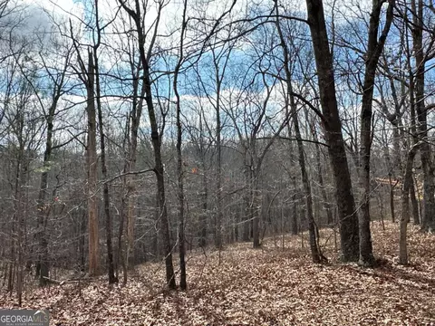 Other - 265 Evans Dr, Buchanan, GA 30113 photo 42 of 55